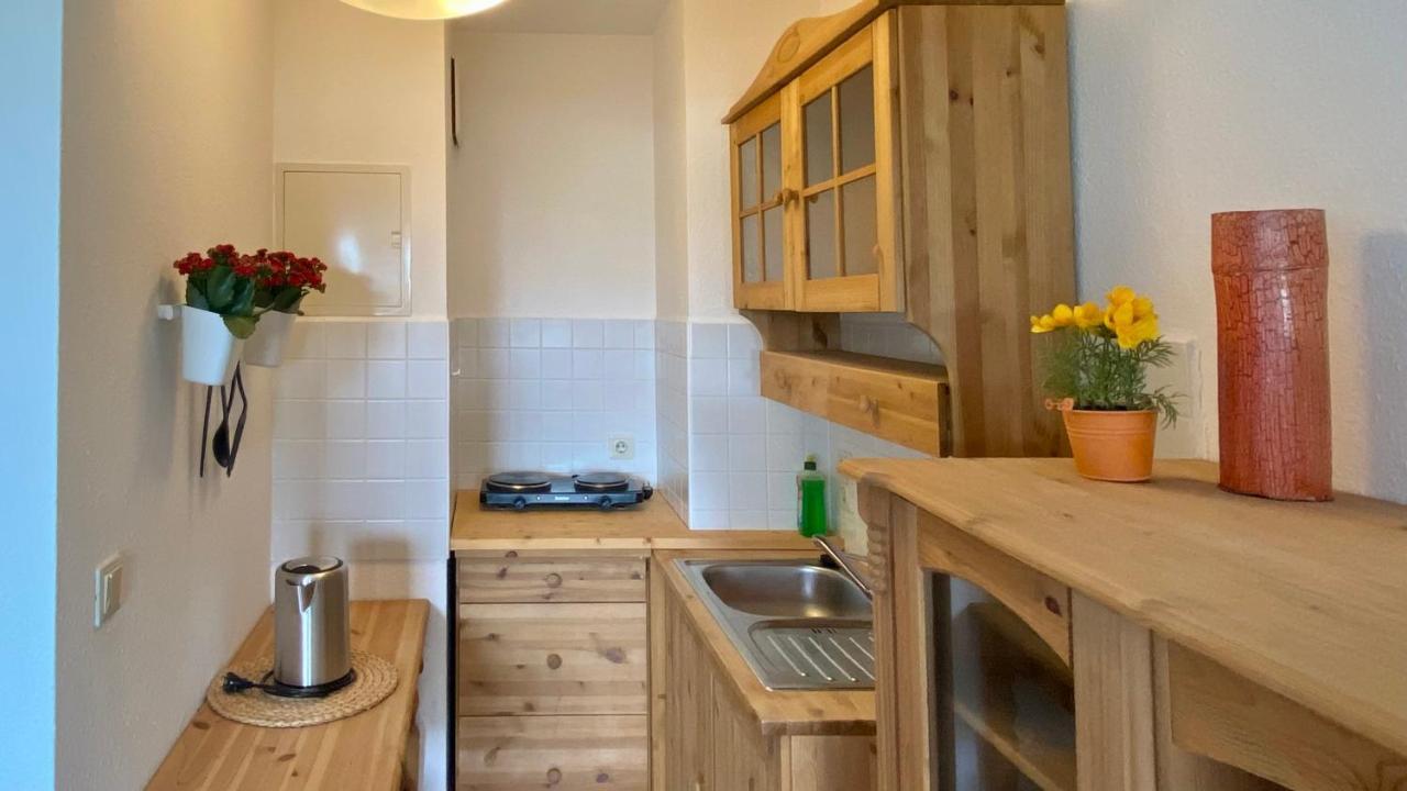 Ferienapartment Casa Heideblick Mit Sonnenterrasse & Garten Radeberg Exteriér fotografie