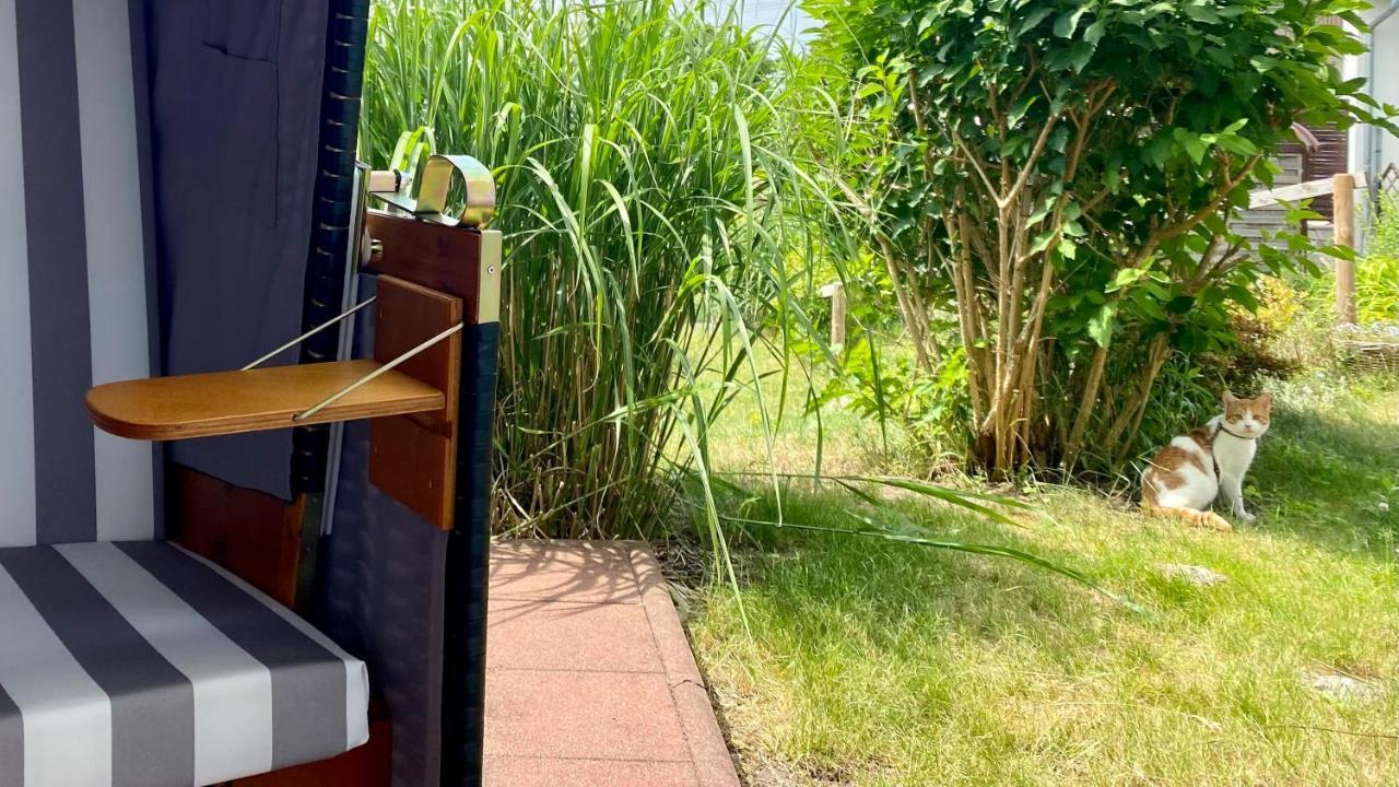 Ferienapartment Casa Heideblick Mit Sonnenterrasse & Garten Radeberg Exteriér fotografie